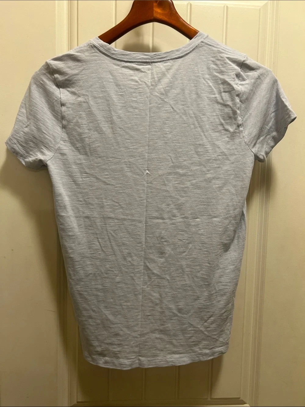 J. Crew Pale Blue safari yoga positions Collector Tee